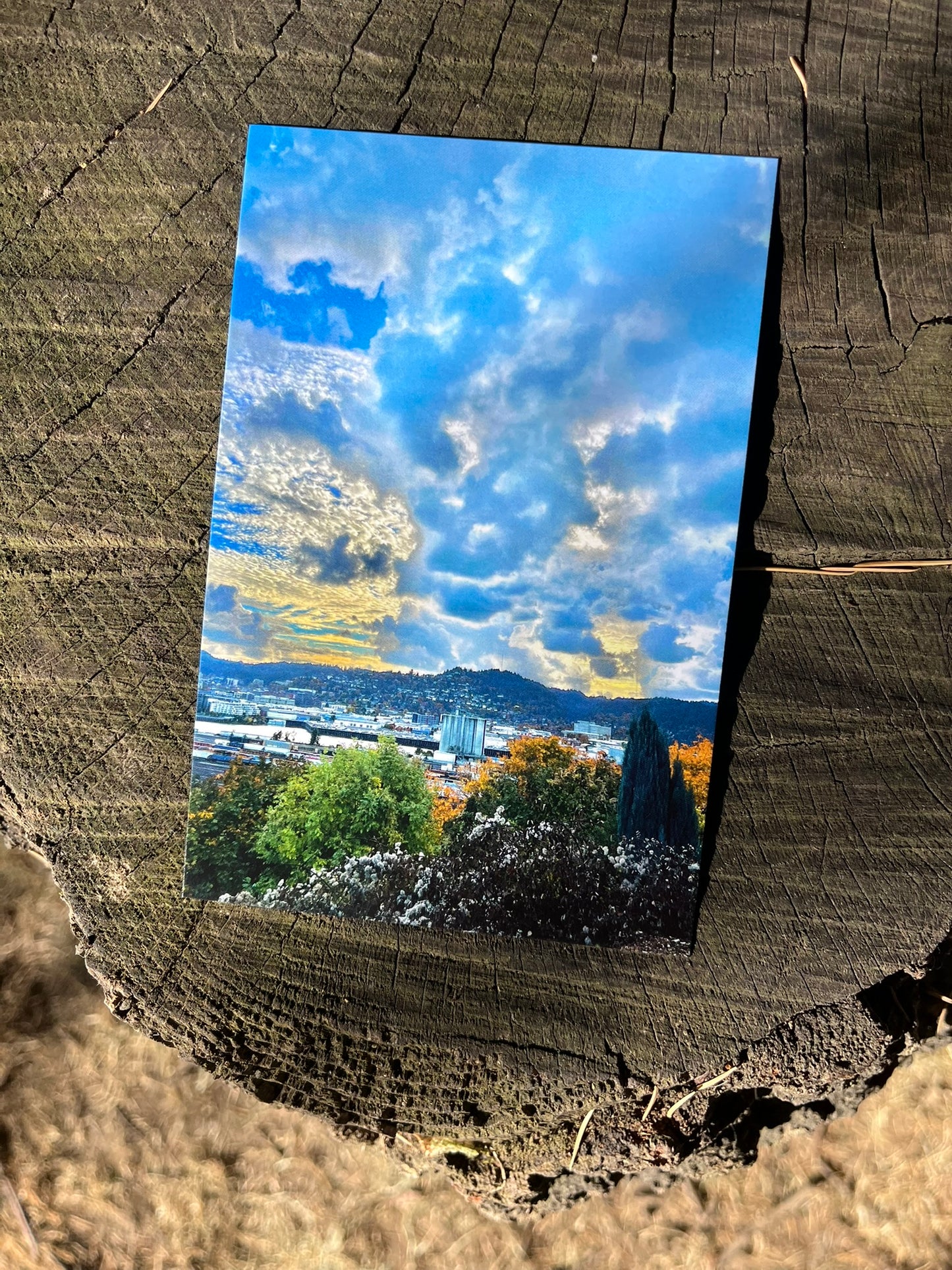 Overlook Postcard Print