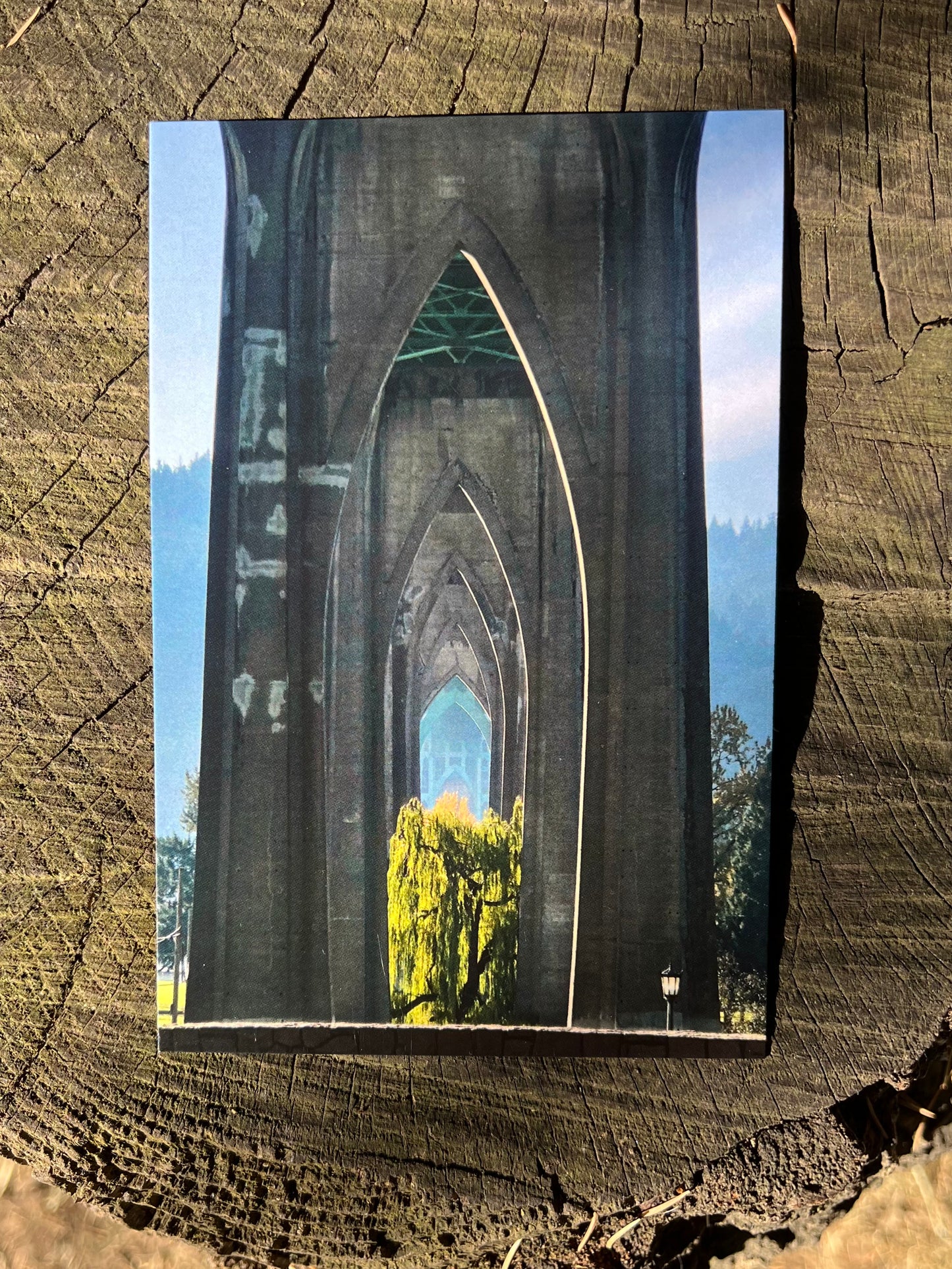 Under the Bridge Postcard Print