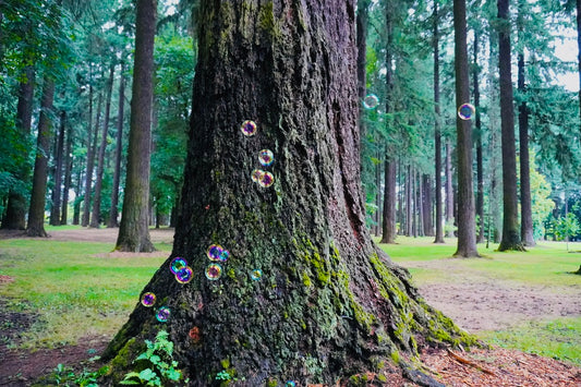 Bubble Forest - Canvas or Print 8 x 10”