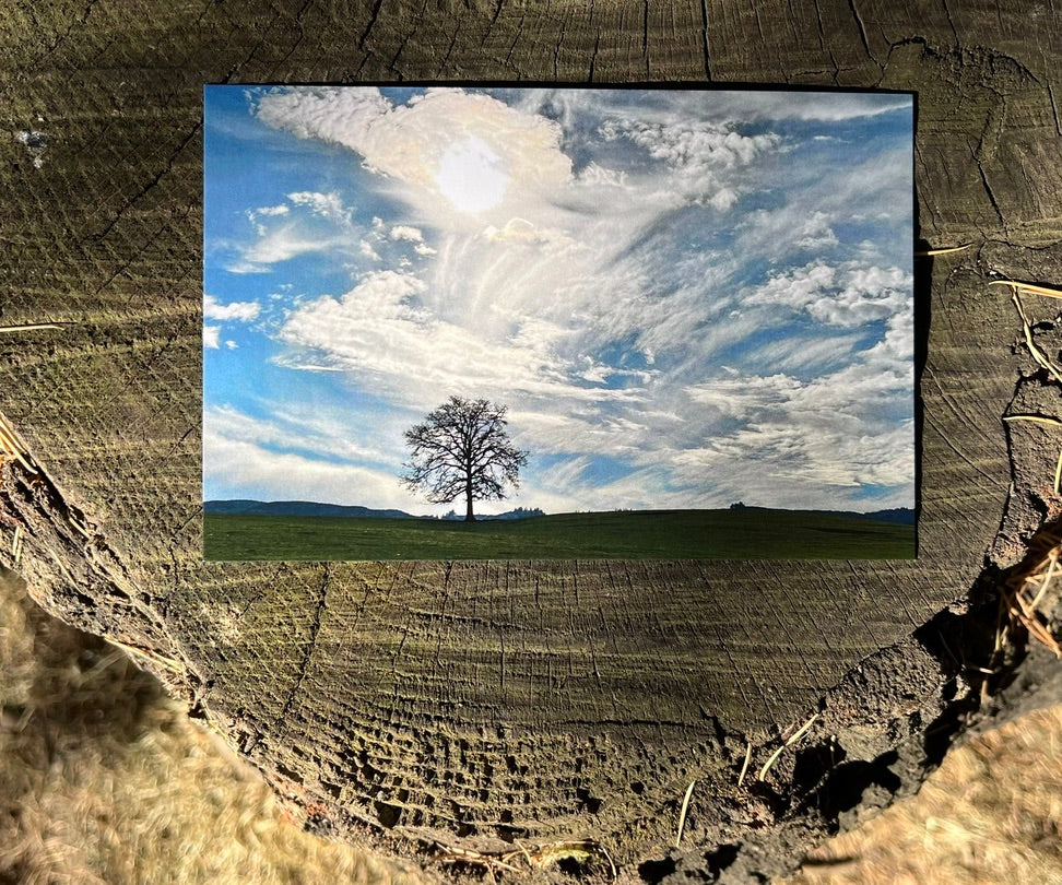 Wild Winds - Canvas or Print 8 x 10”