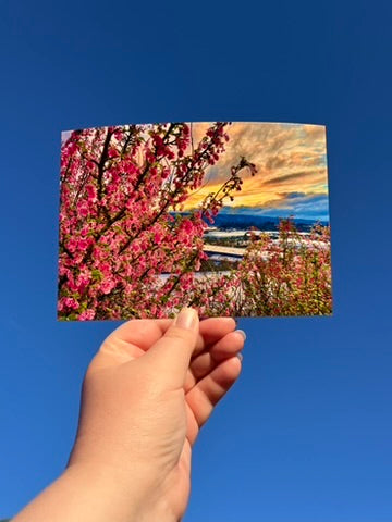 Pink Portland - Postcard Print