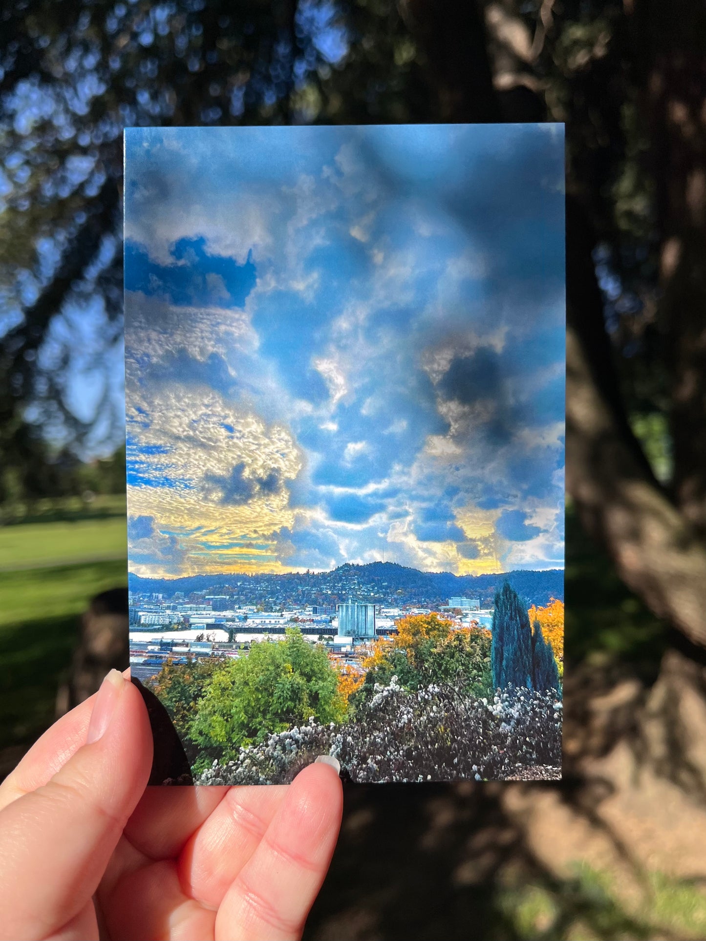 Overlook Postcard Print