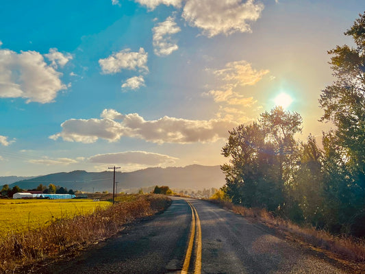 Road Less Traveled - Canvas or Print 8 x 10”