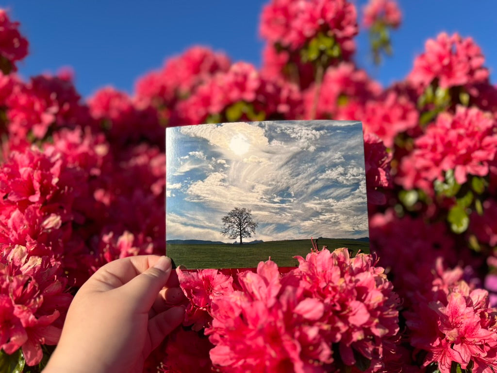 Oregon Sky - Postcard Print