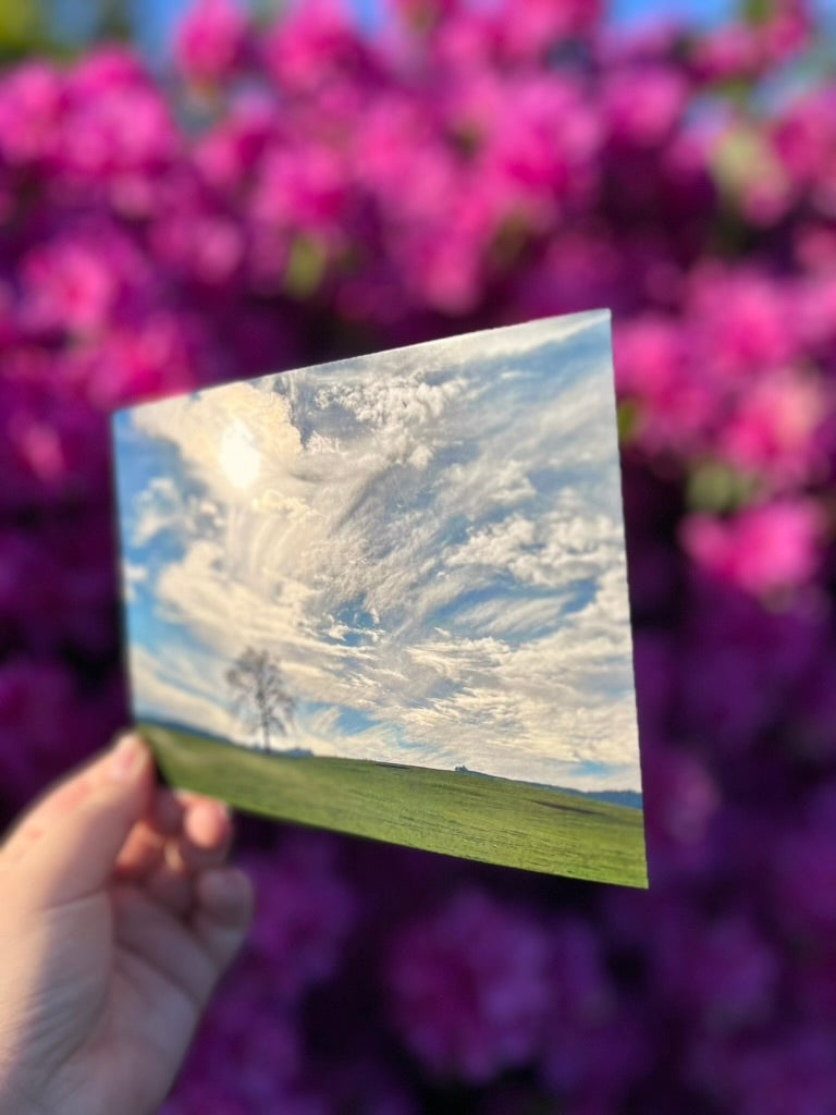 Oregon Sky - Postcard Print
