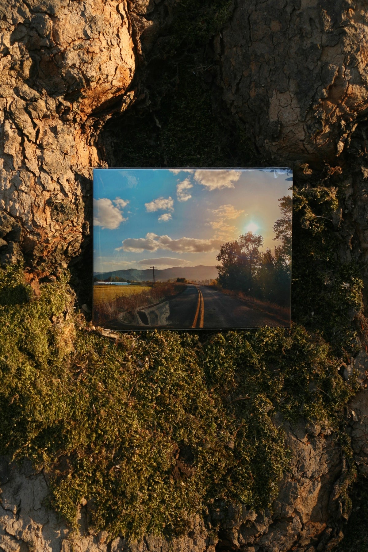 Road Less Traveled