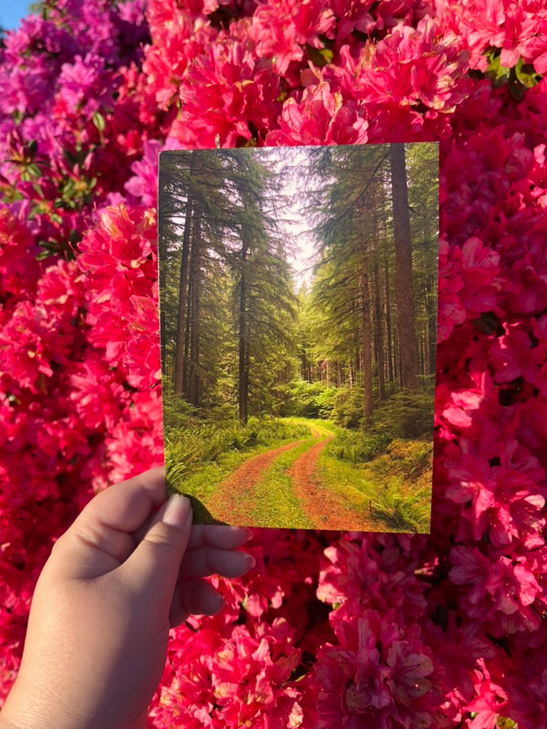 Forest of Secrets - Postcard Print