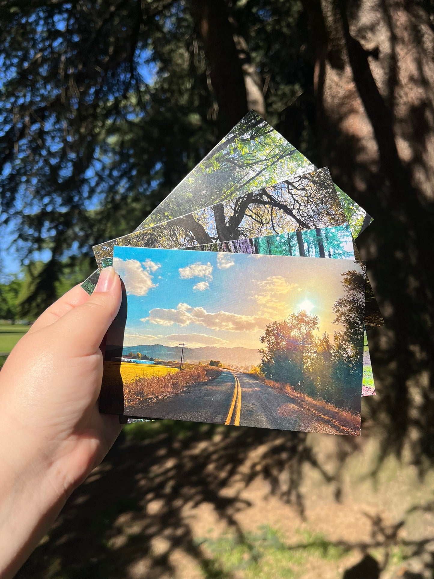 Road Less Traveled Postcard Print