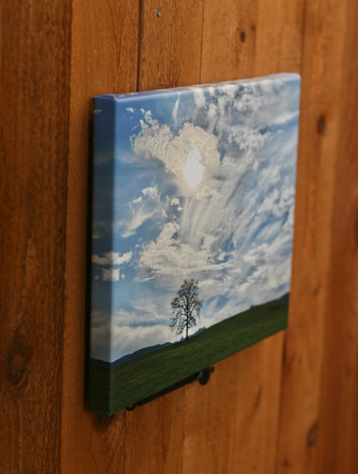 Wild Winds