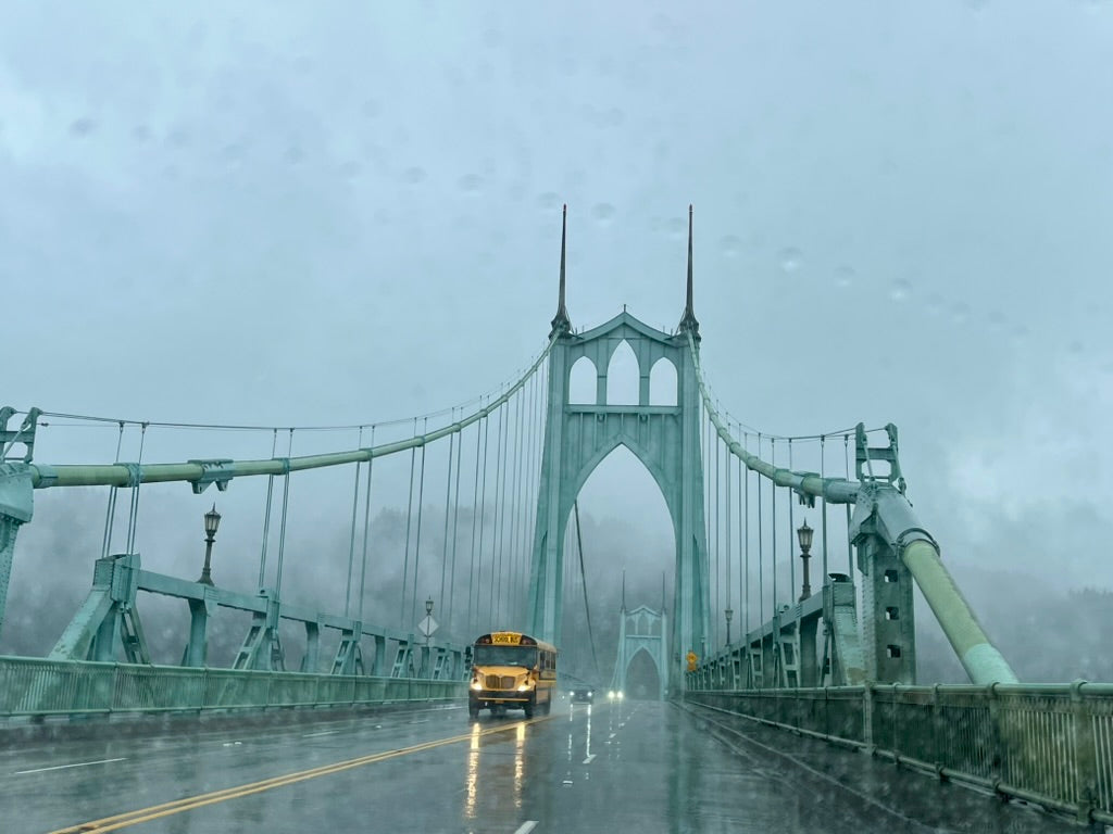 Rainy Day St. John's - Canvas or Print 8 x 10”