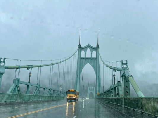 Rainy Day St. John's - Canvas or Print 8 x 10”