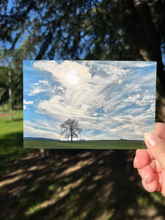 Wild Winds Postcard Print