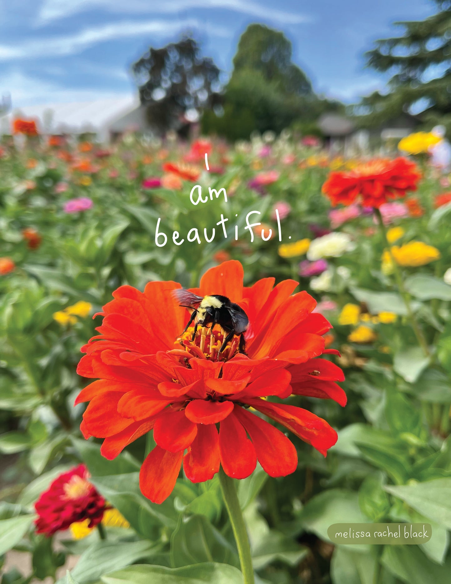 I Am Beautiful Healing Art Postcard Print