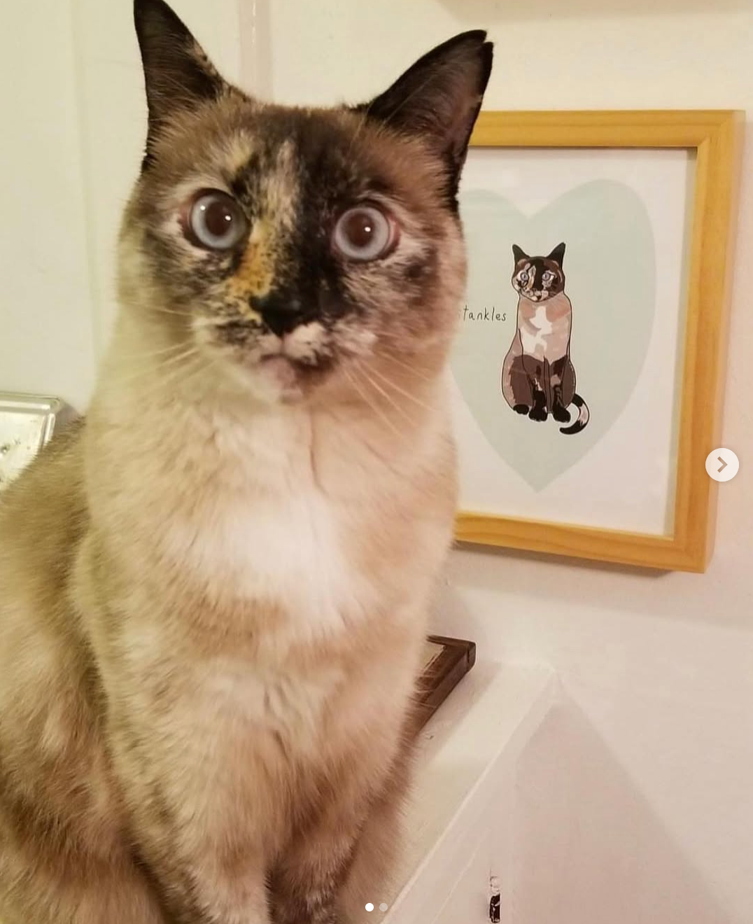 Custom Pet Portrait - No AI