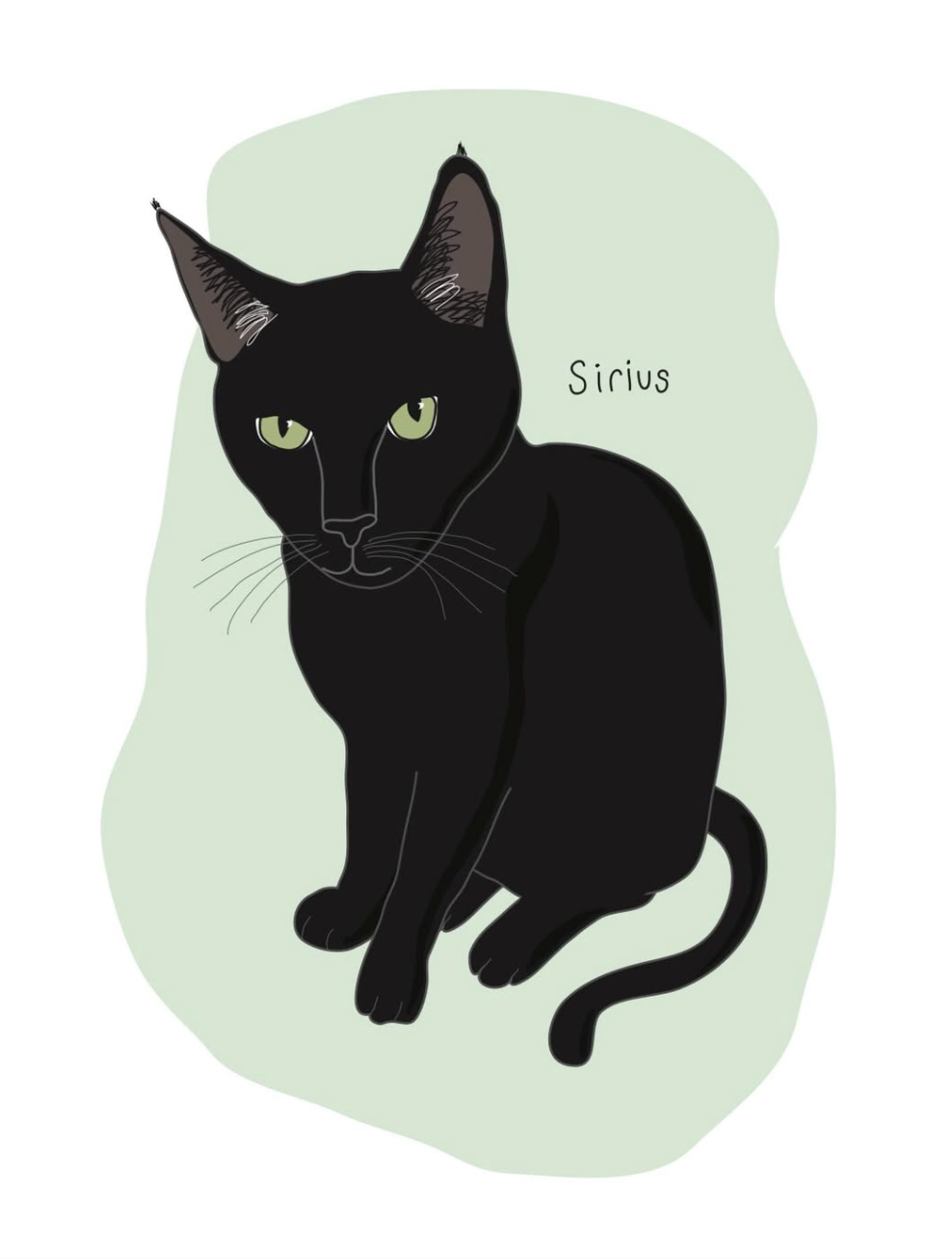 Custom Pet Portrait - No AI