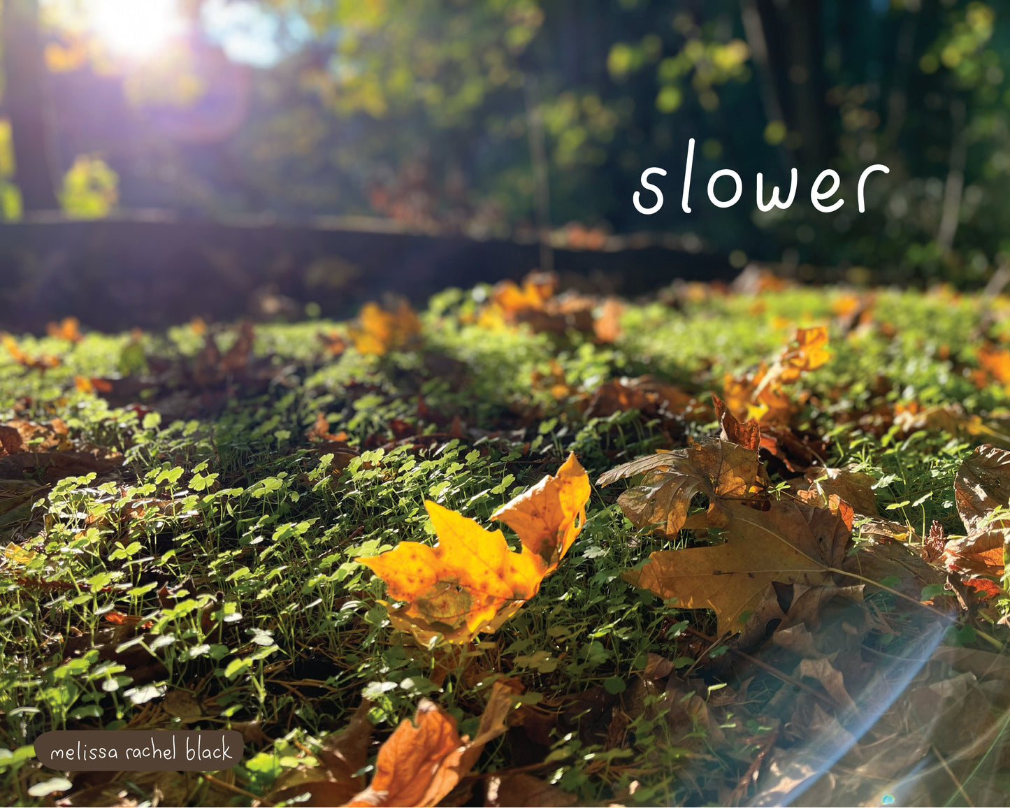 Slower - Canvas or Print 8 x 10”